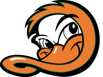 Long Island Ducks