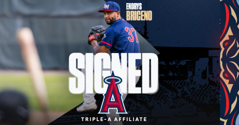 Former Blue Crabs All-Star Closer Endrys Briceno Signed by the Los Angeles Angels