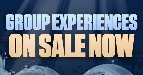 Crab Your Crew: Blue Crabs Unleash Epic Group Experiences for Every Occasion