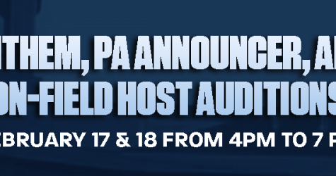 Blue Crabs To Host Tryouts for Seasonal Positions